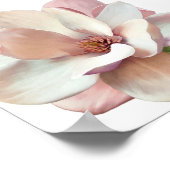 Roze magnolia poster (Hoek)