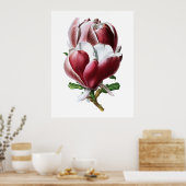 Roze magnolia poster grote bloemen (Keuken)