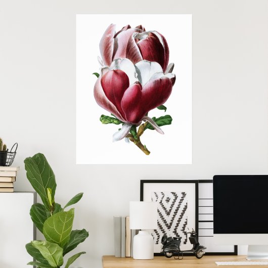 Roze magnolia poster grote bloemen (Thuiskantoor)