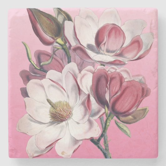 Roze Magnolia Stenen Onderzetter (Voorkant)