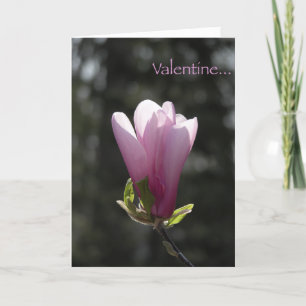 Roze Magnolia Valentijnsdag Kaart