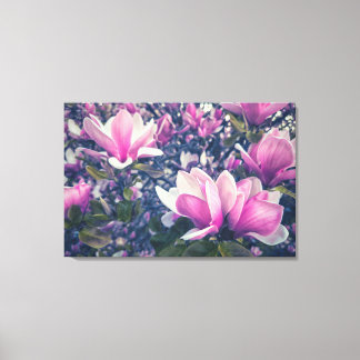 Roze Magnolia's Canvas Afdruk