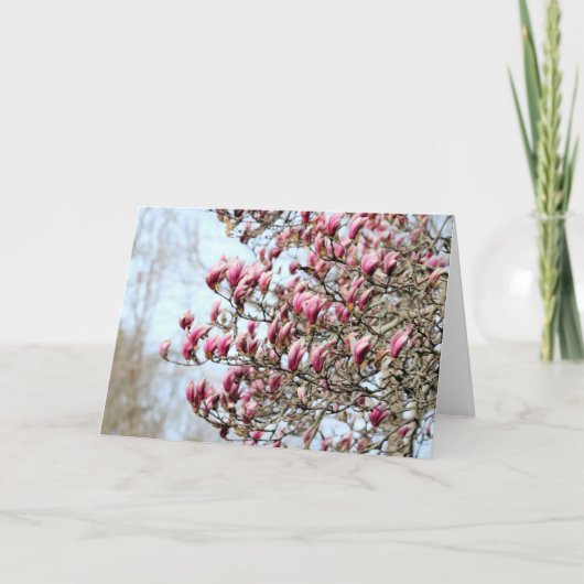 Roze magnolias kaart (Voorkant)