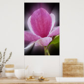 roze magnolibloem poster (Keuken)