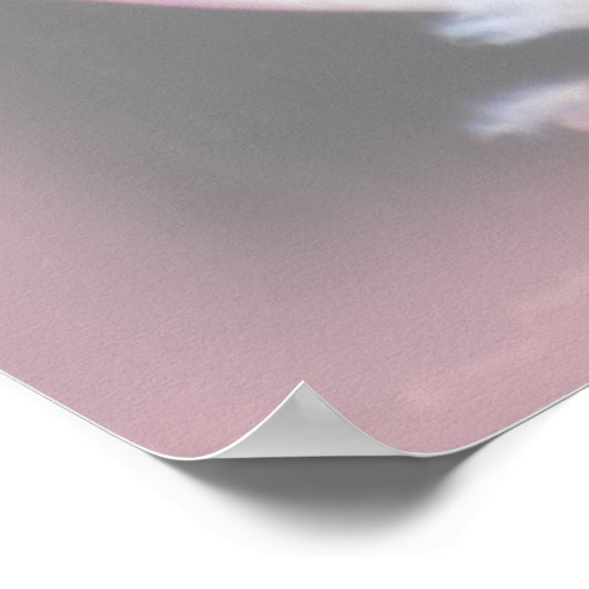 Roze Mamosa Protea Poster (Hoek)