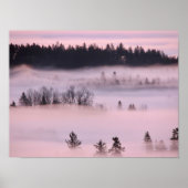 Roze mand. poster (Voorkant)
