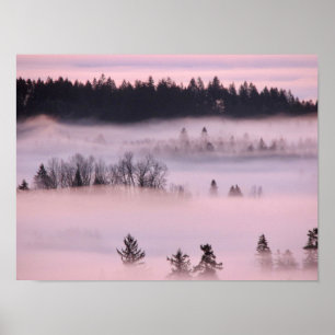 Roze mand. poster
