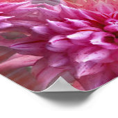 Roze Mandala van de kleurrijke fractale kunst van  Poster (Hoek)