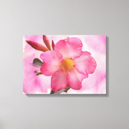 Roze Mandevilla Vine Canvas Afdruk (Voorkant)
