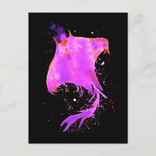 Roze Manta Ray Briefkaart (Voorkant)