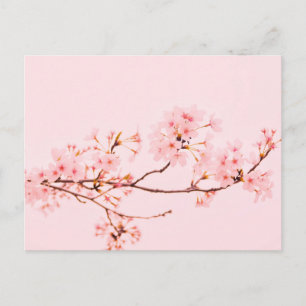 roze marmeren bloem Ansichtkaart Briefkaart