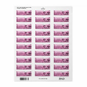 Roze Maskerade Masker Elegant Bal Feest Etiket (Full Sheet)