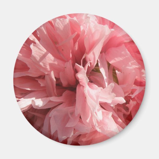  roze mastemnet magneet (Voorkant)