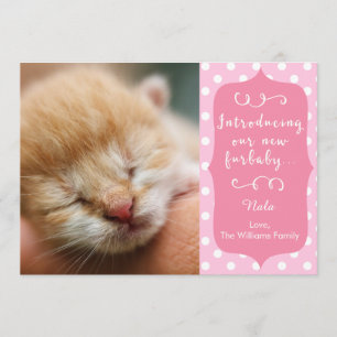 Roze mededeling van de New Furbaby Aankondiging