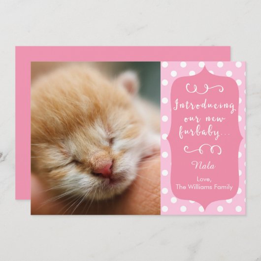 Roze mededeling van de New Furbaby Aankondiging (Voorkant / Achterkant)