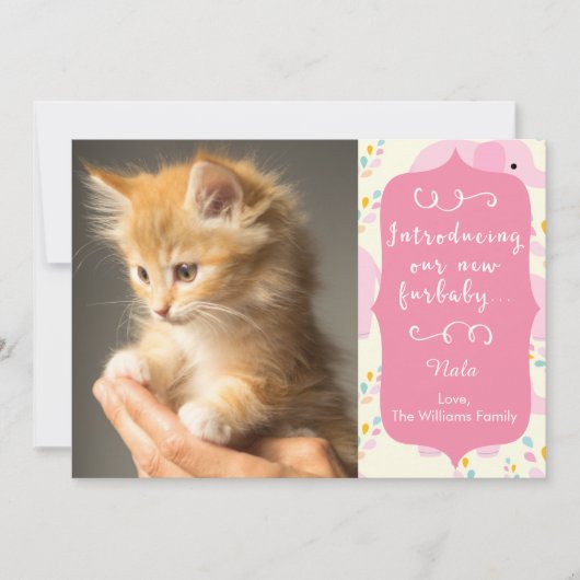 Roze mededeling van de New Furbaby Aankondiging (Voorkant)