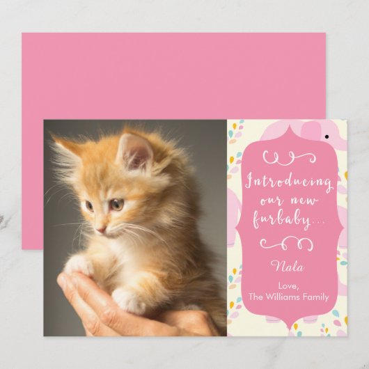 Roze mededeling van de New Furbaby Aankondiging (Voorkant / Achterkant)