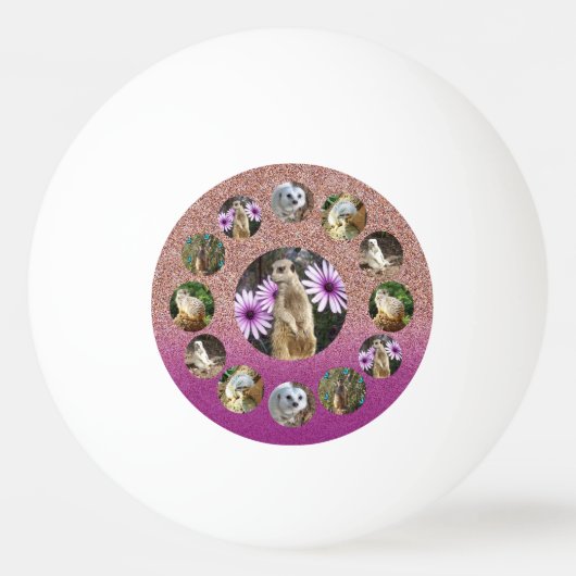 Roze Meerkat Surprise, Ping Pong Ball (Voorkant)