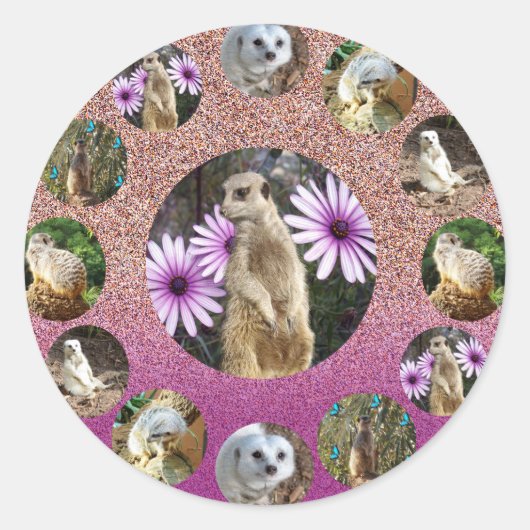 Roze Meerkat Surprise, Stickers (Voorkant)