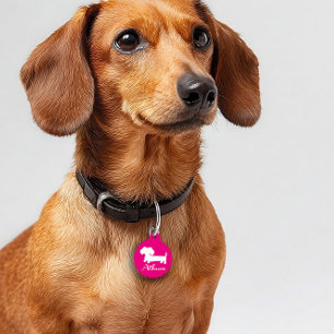 Roze meisje Dachshund ID Dog Label Doxies Huisdierpenning