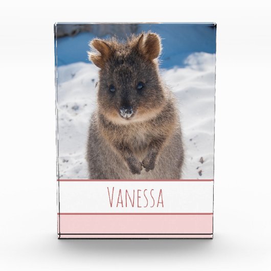 Roze Meisjes Gepersonaliseerde Quokka op het stran Fotoblokken (Voorkant)