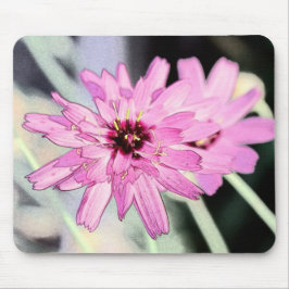 Roze melkbloem. Florale fotokunst. Muismat