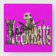 roze merkat met Logo van Meerkats,