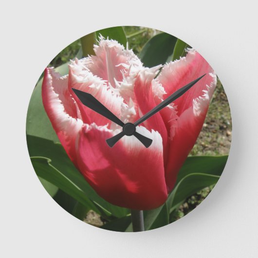 Roze, met de rand gevulde wandklok (Voorkant)