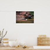 Roze met kleine vis poster (Keuken)