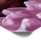 Roze met paarse paasbloemen in licht poster (Hoek)