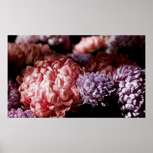 Roze met paarse paasbloemen in licht poster (Voorkant)