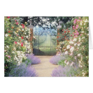 Roze, met Roos uitgelijnde weg naar poort, onderbe