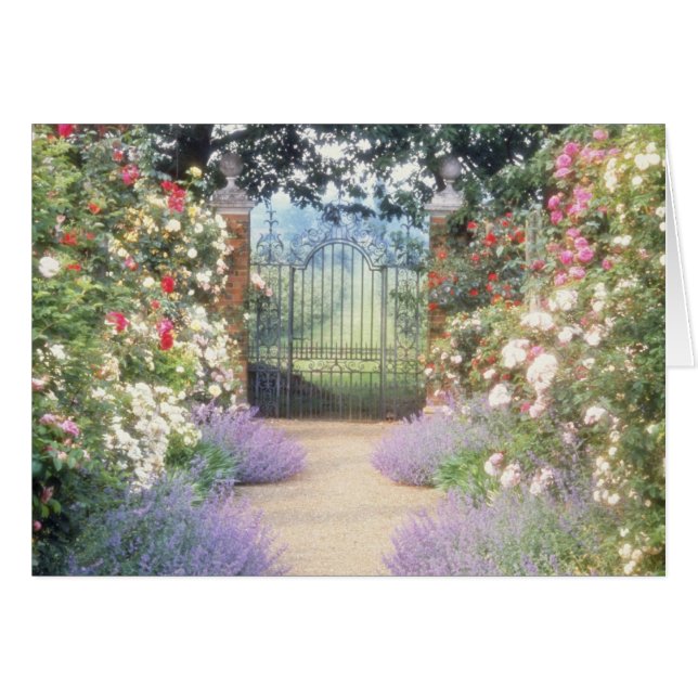 Roze, met Roos uitgelijnde weg naar poort, onderbe (Voorkant Horizontaal)