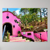 Roze Mexicaanse kapel Poster (Voorkant)