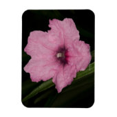 Roze Mexicaanse Petunia (Ruellia Brittoniana of Magneet (Verticaal)