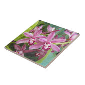 Roze mini Cymbidium Orchids Floral Tegeltje (Zijkant)