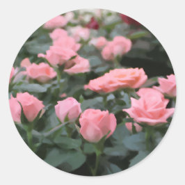 Roze Mini Rozen Digitale Bloem Schilderij Ronde Sticker