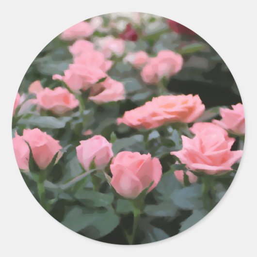 Roze Mini Rozen Digitale Bloem Schilderij Ronde Sticker (Voorkant)