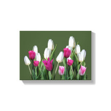  roze moderne kleurrijke tulp bloemendigitaal