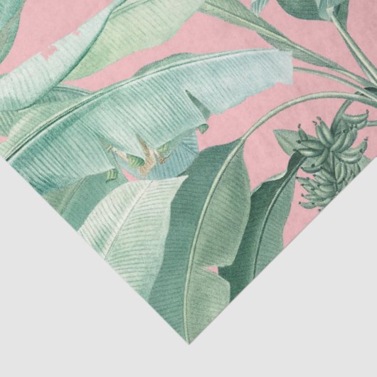 Roze moderne Waterverf tropische banaan palmblader Tissuepapier (Detail)