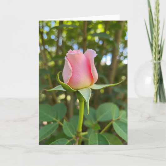 Roze Moederdag Bloemkaart Kaart (Voorkant)