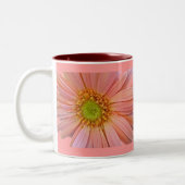 Roze Mok van de Afrikaanse Daisy (Links)