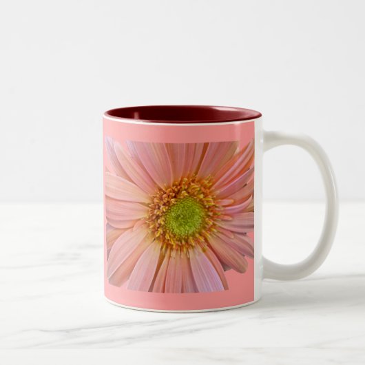 Roze Mok van de Afrikaanse Daisy (Rechts)