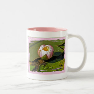 Roze Mok van de Bud van het Water-Lily
