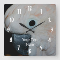 Roze Moluccan Cockatau Parrot Animal