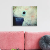 Roze Moluccan Cockatau Parrot dicht Canvas Afdruk (Insitu (Woonkamer))