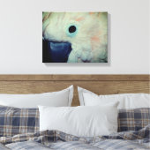Roze Moluccan Cockatau Parrot dicht Canvas Afdruk (Insitu (Slaapkamer))