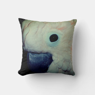 Roze Moluccan Cockatau Parrot dicht Kussen