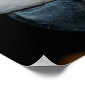 Roze Moluccan Cockatau Parrot Poster (Hoek)