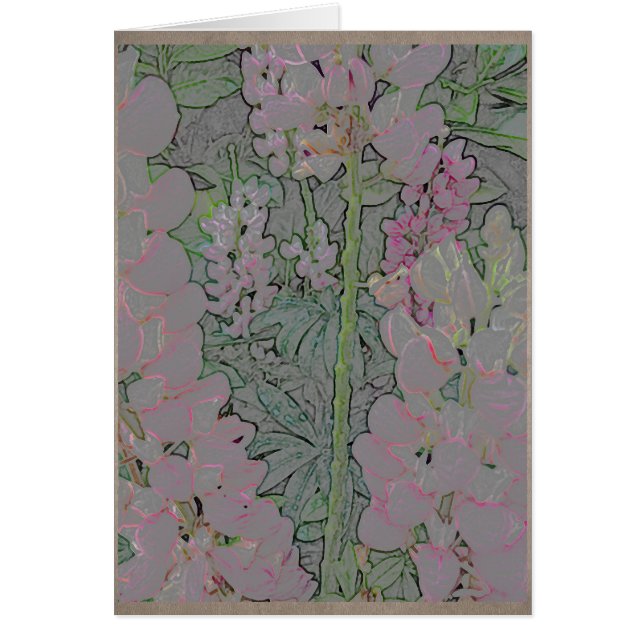 Roze momentopnamen (Voorkant)